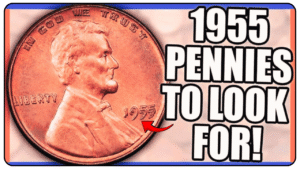 1955 Lincoln Penny Sold for $775,000 – Could You Have One in Your Pocket